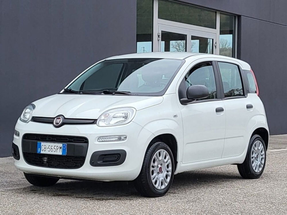 Fiat Panda usata a Foggia