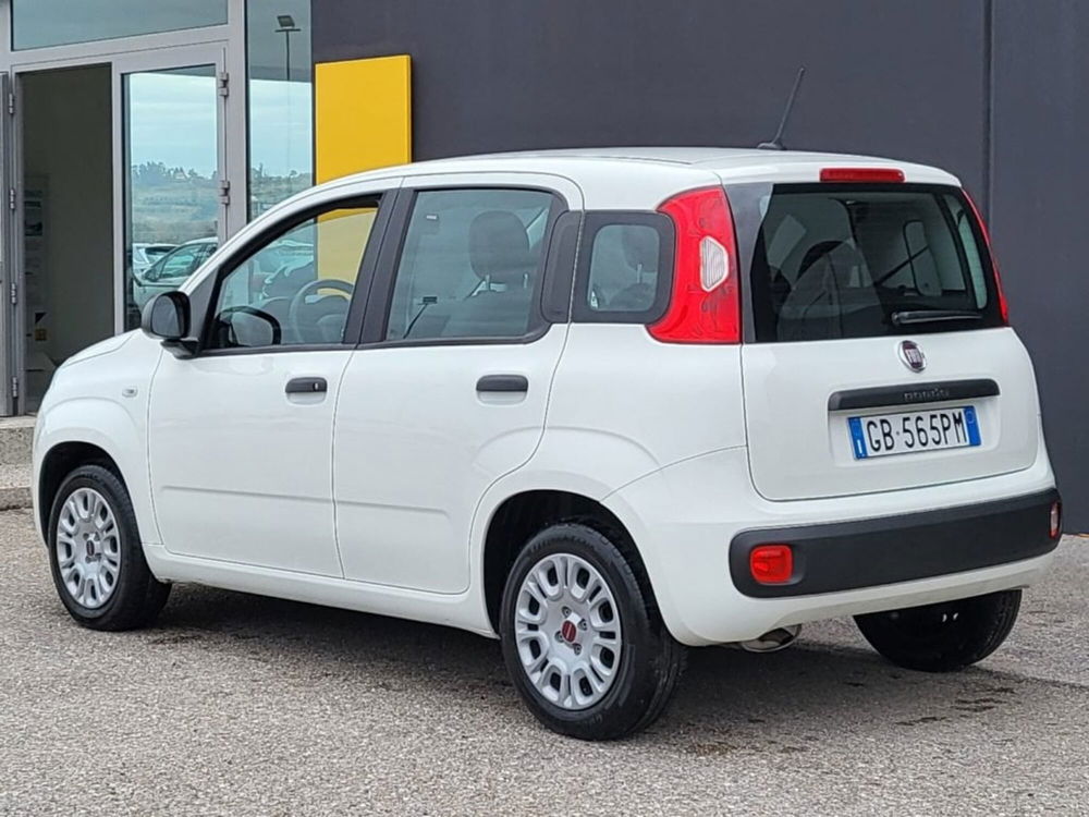 Fiat Panda usata a Foggia (3)