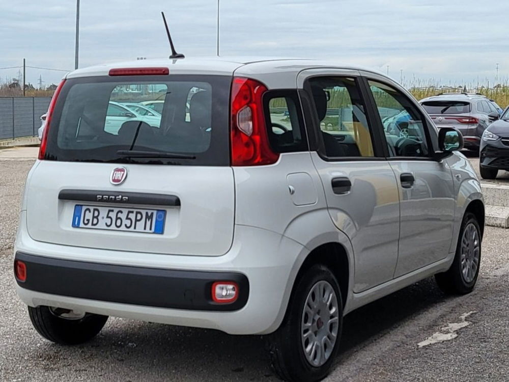 Fiat Panda usata a Foggia (5)