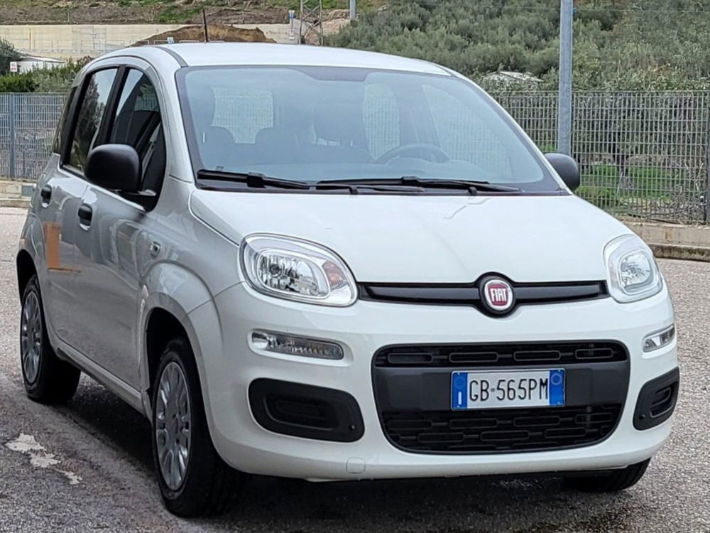 Fiat Panda usata a Foggia (6)