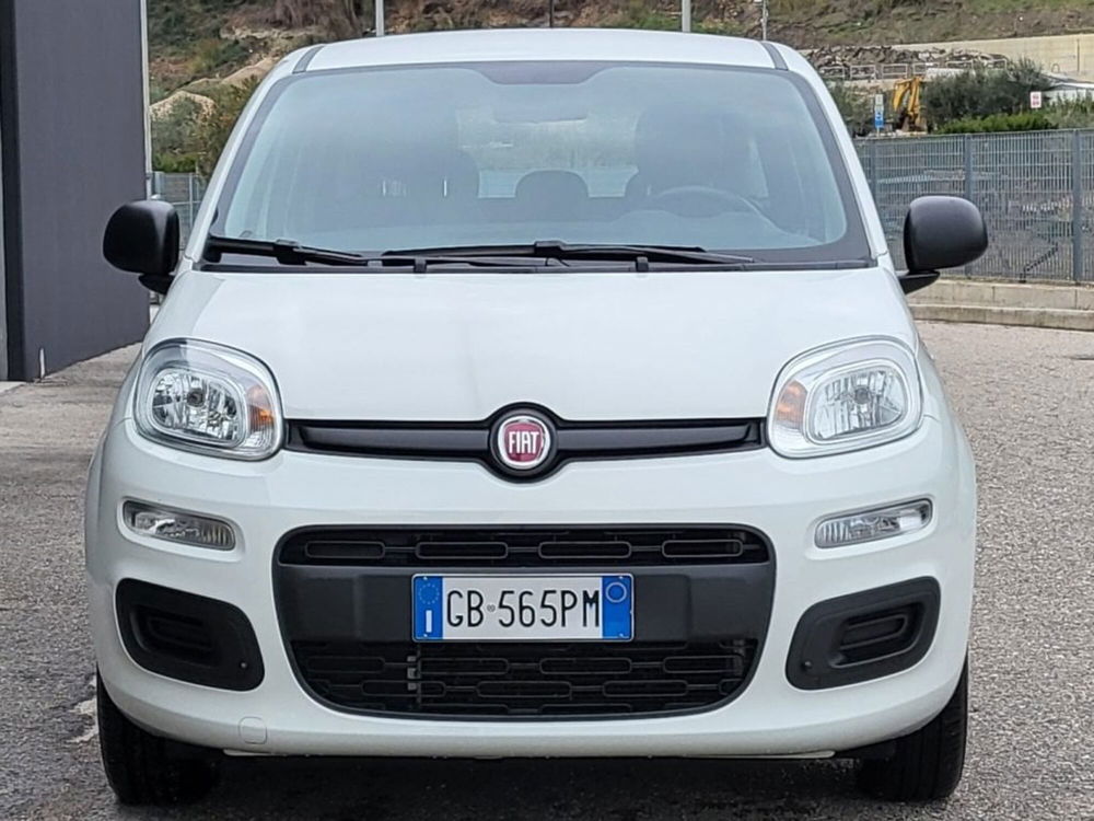 Fiat Panda usata a Foggia (7)