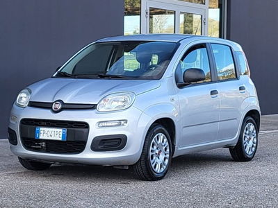 Fiat Panda 1.2 EasyPower Easy  del 2018 usata a Foggia