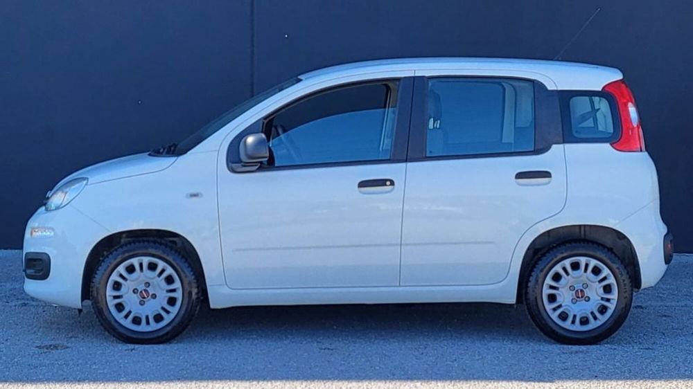 Fiat Panda usata a Foggia (2)