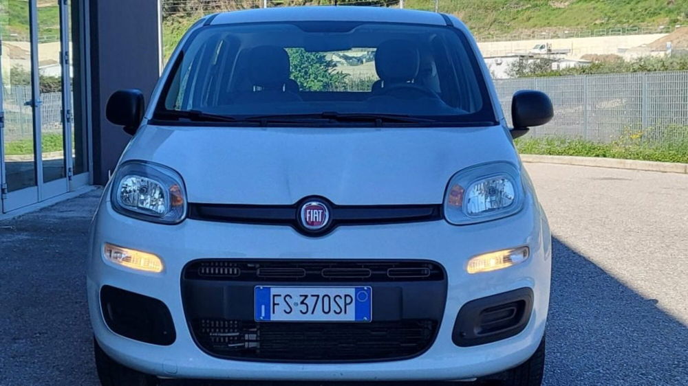 Fiat Panda usata a Foggia (7)