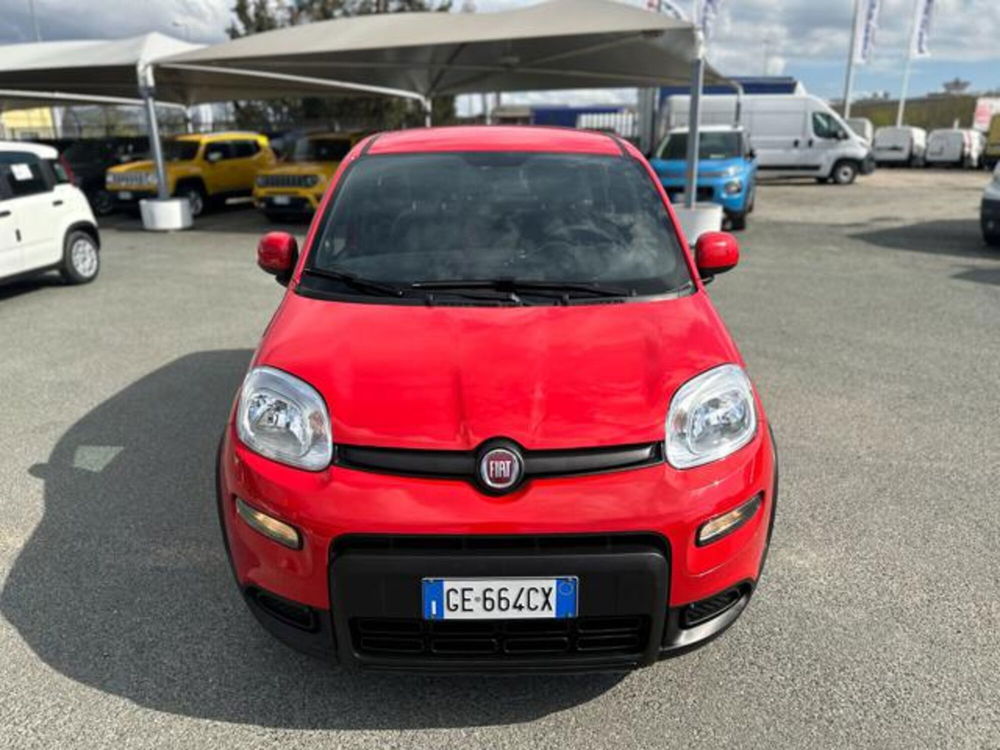 Fiat Panda usata a Torino (2)