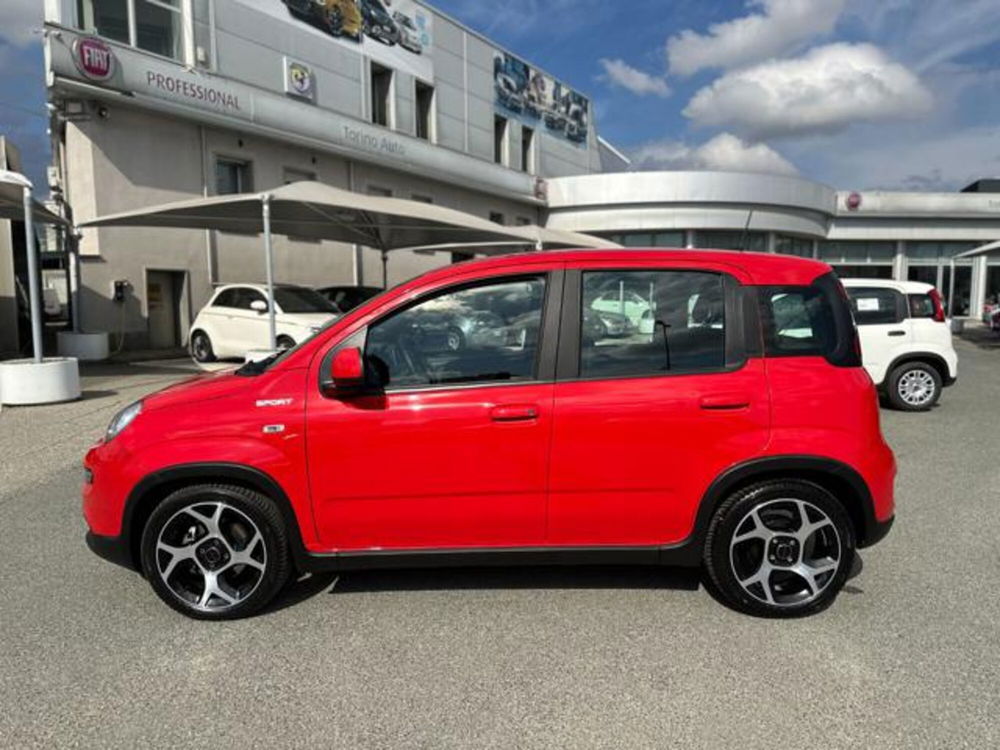 Fiat Panda usata a Torino (4)