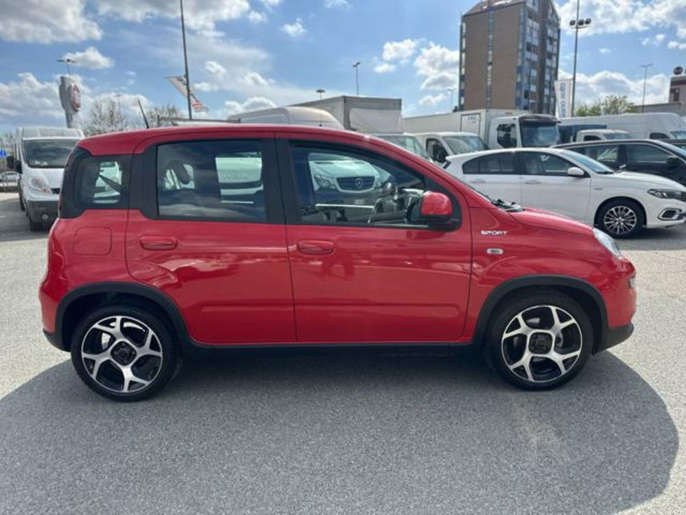 Fiat Panda usata a Torino (8)