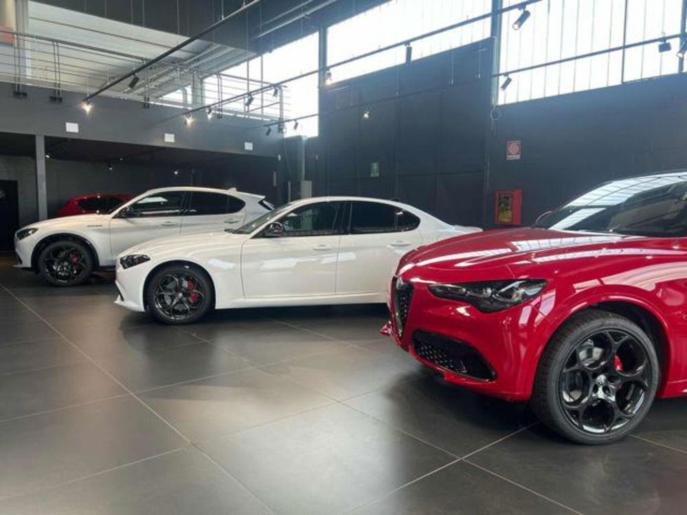 Alfa Romeo Giulia nuova a Vercelli (8)