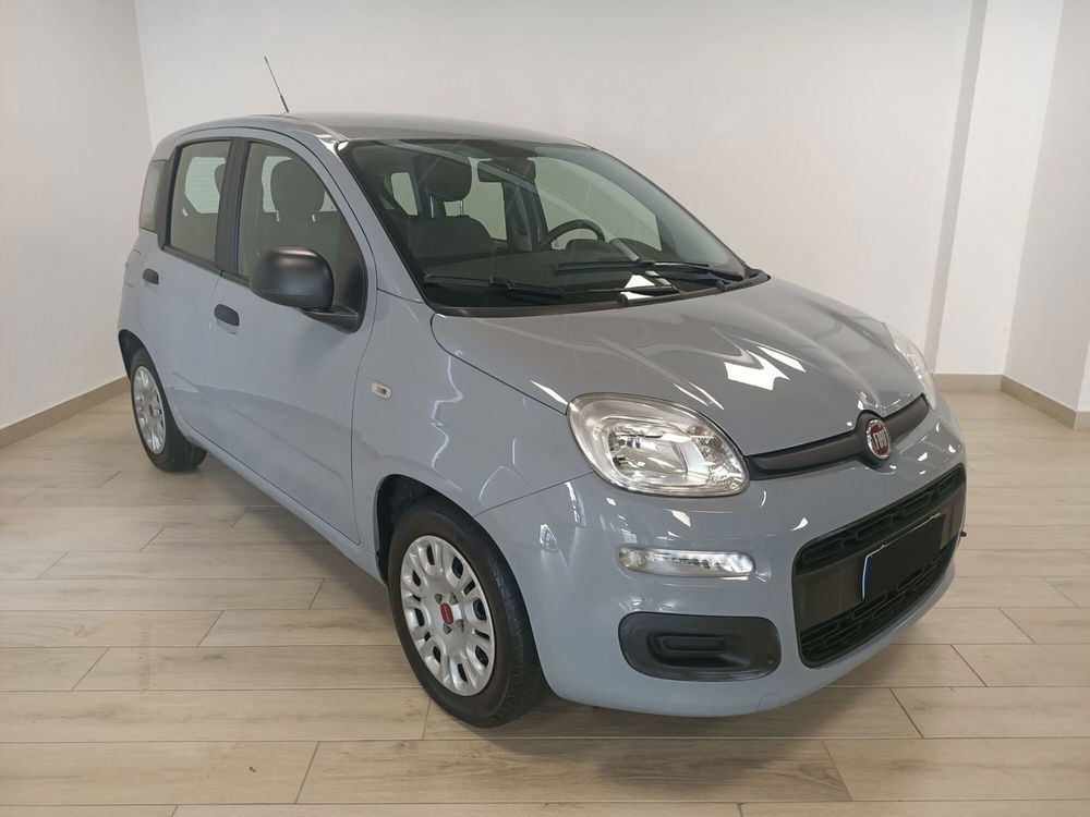 Fiat Panda usata a Torino