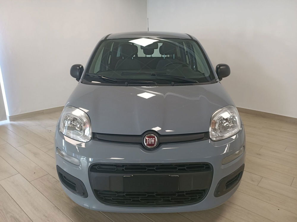 Fiat Panda usata a Torino (2)