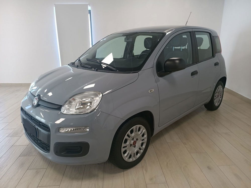 Fiat Panda usata a Torino (3)