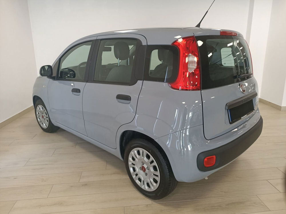 Fiat Panda usata a Torino (6)