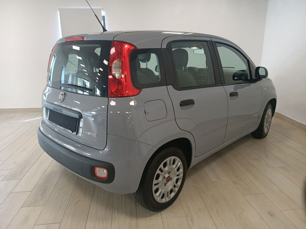 Fiat Panda usata a Torino (4)