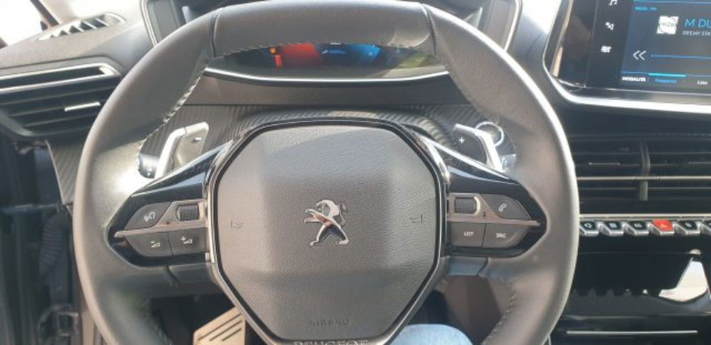 Peugeot 208 usata a Imperia (8)