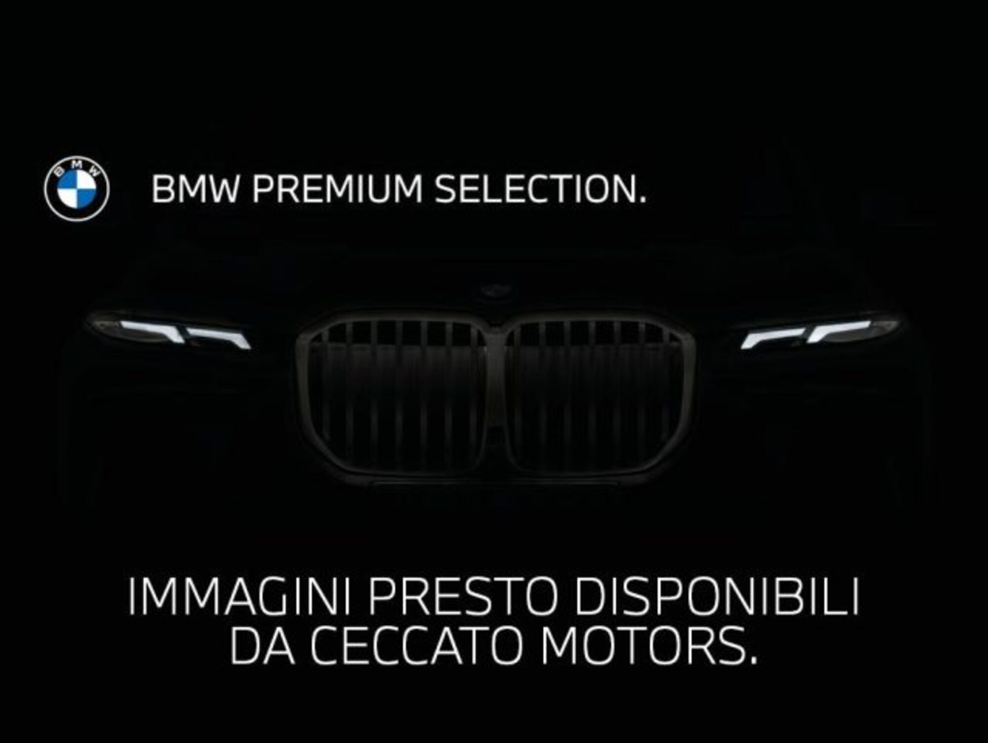 BMW X3 xDrive20d Luxury  del 2019 usata a Padova