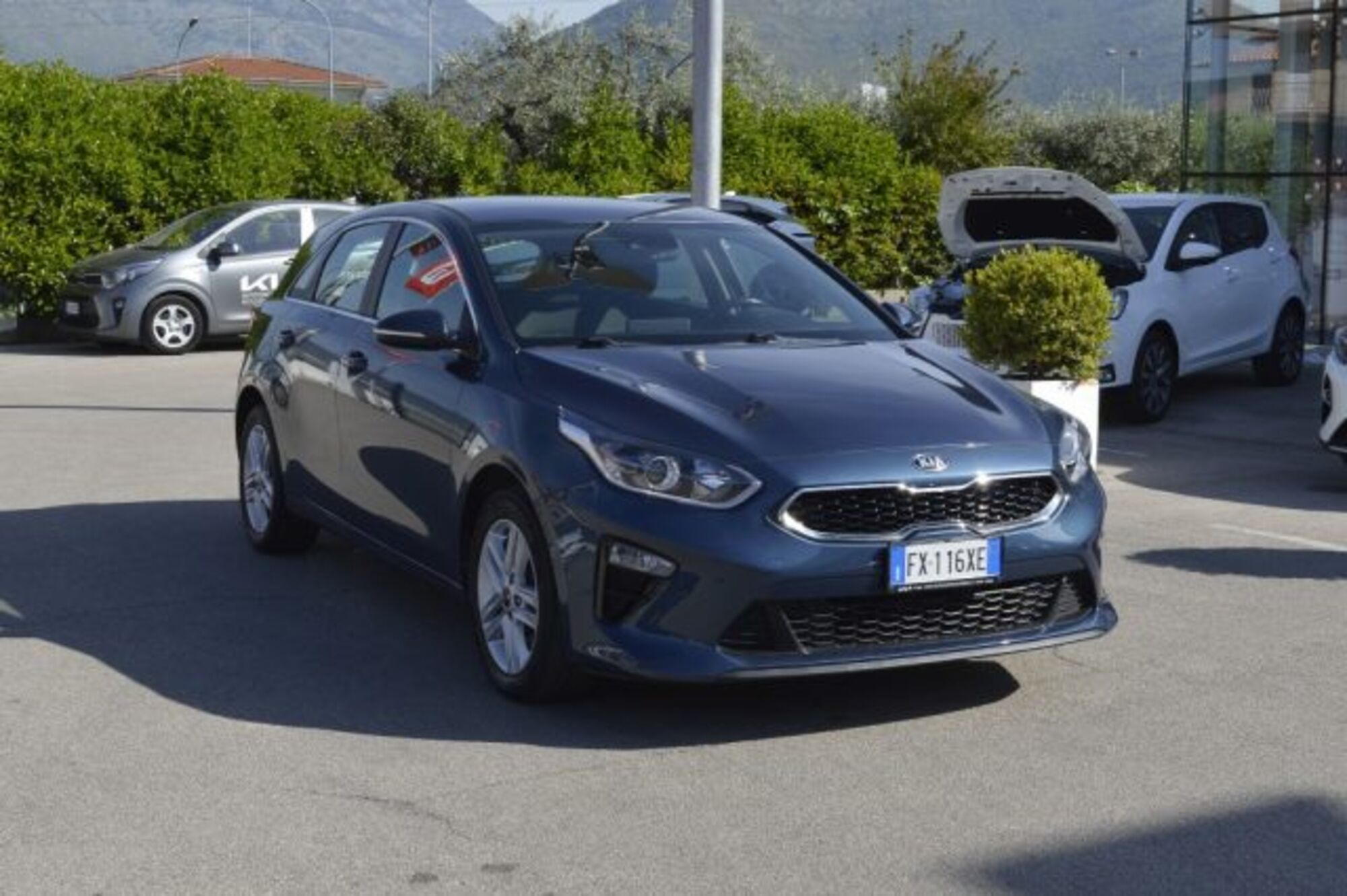 Kia Ceed 1.6 CRDi 115 CV DCT 5p. Business Class  del 2019 usata a Fondi