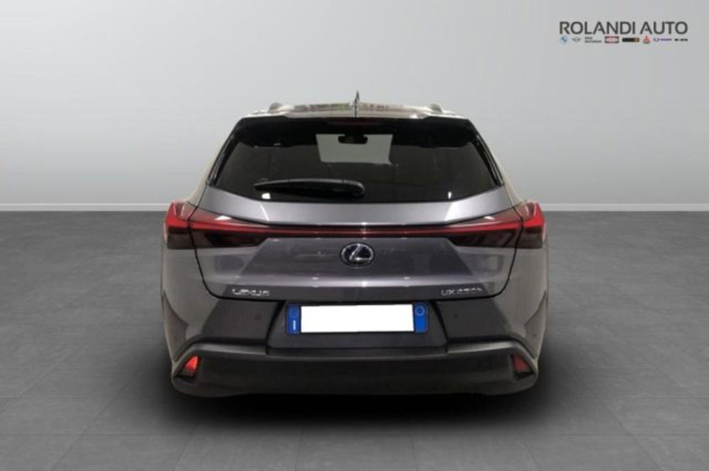 Lexus UX Hybrid 4WD Premium  del 2020 usata a Alessandria (5)