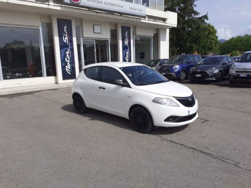 Lancia Ypsilon usata a Firenze (2)