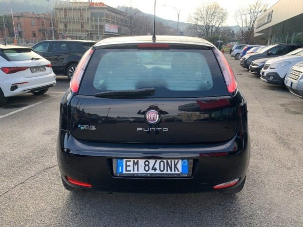 Fiat Punto usata a Modena (4)