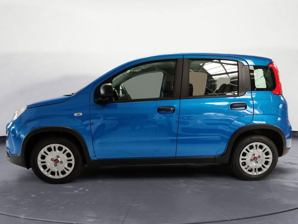 Fiat Panda 1.0 FireFly S&S Hybrid City Cross  nuova a Pordenone (2)