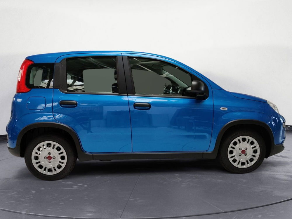 Fiat Panda Cross nuova a Pordenone (6)