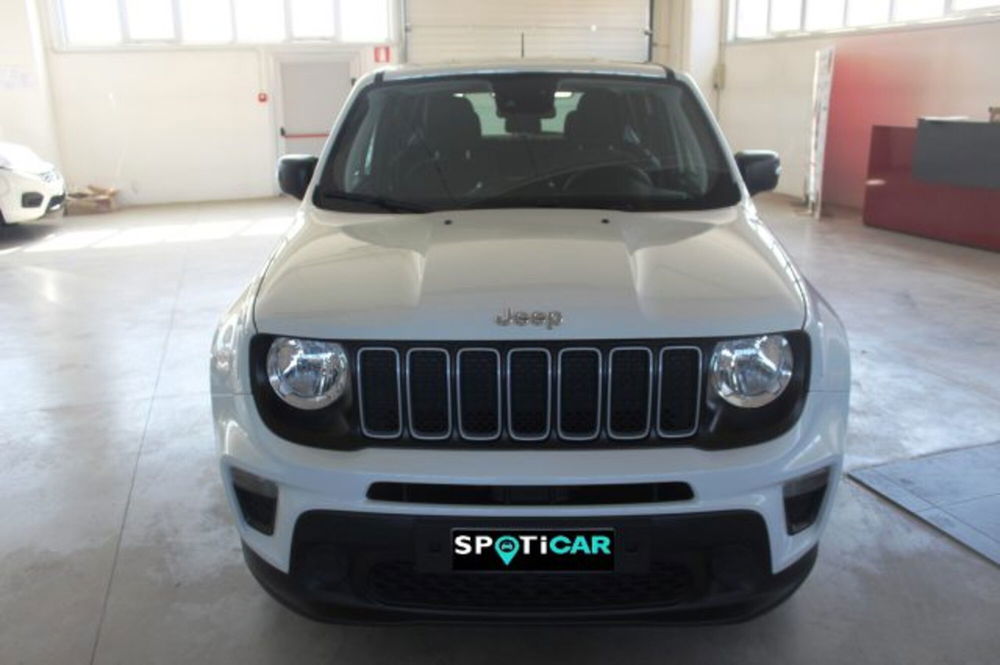 Jeep Renegade usata a Terni (2)