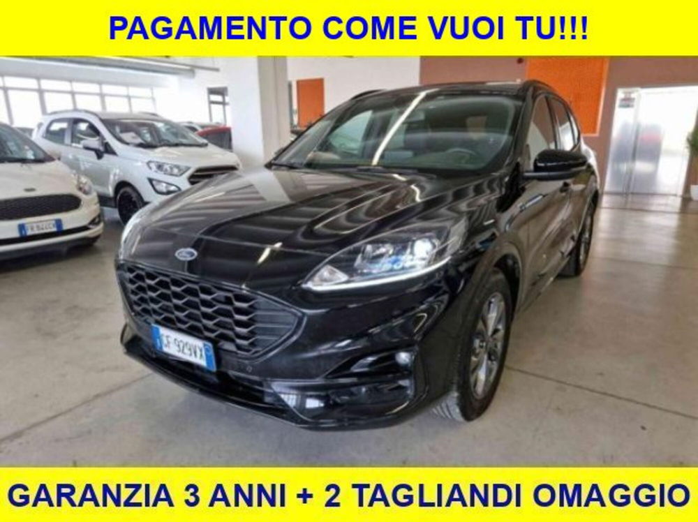 Ford Kuga usata a Bologna