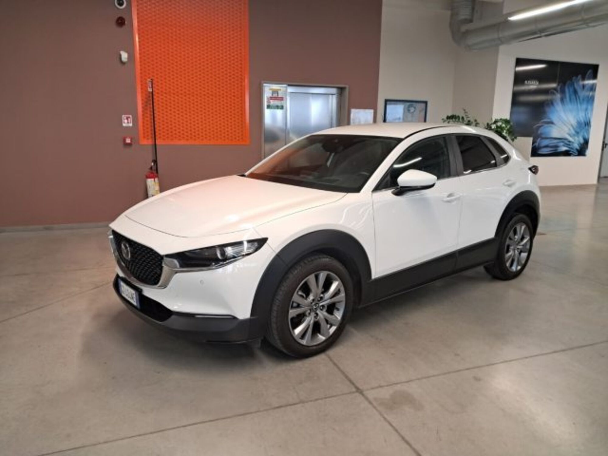 Mazda CX-30 Skyactiv-G M Hybrid 2WD Executive  del 2021 usata a Imola