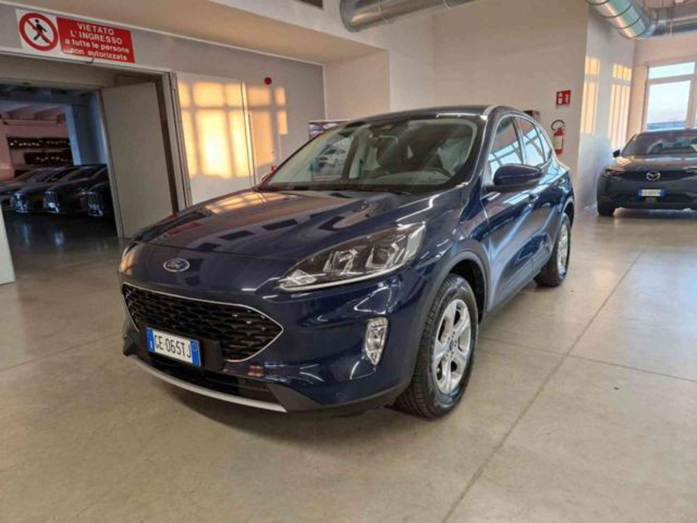 Ford Kuga usata a Bologna