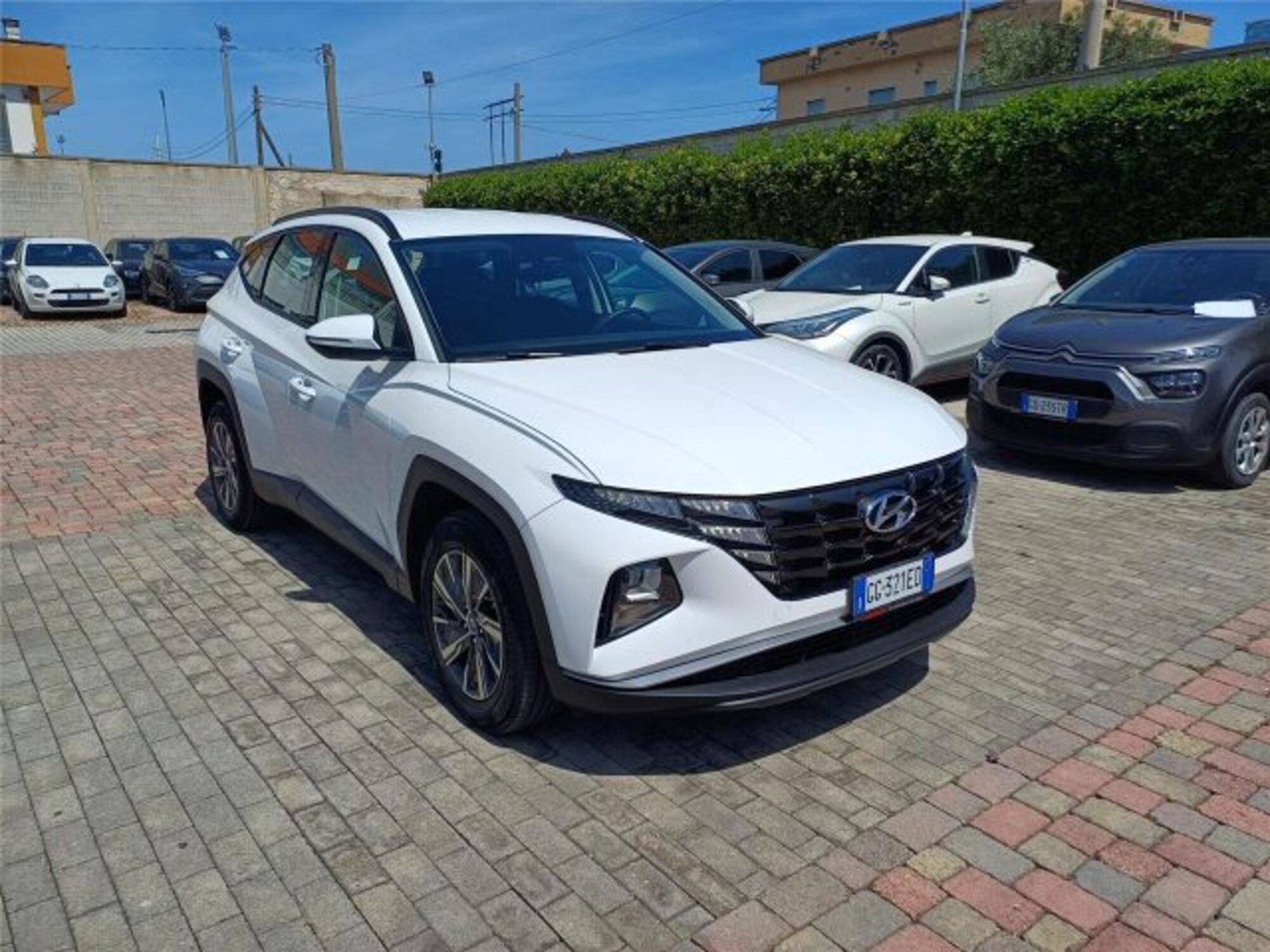 Hyundai Tucson 1.6 hev Xtech 2wd auto del 2021 usata a Bari