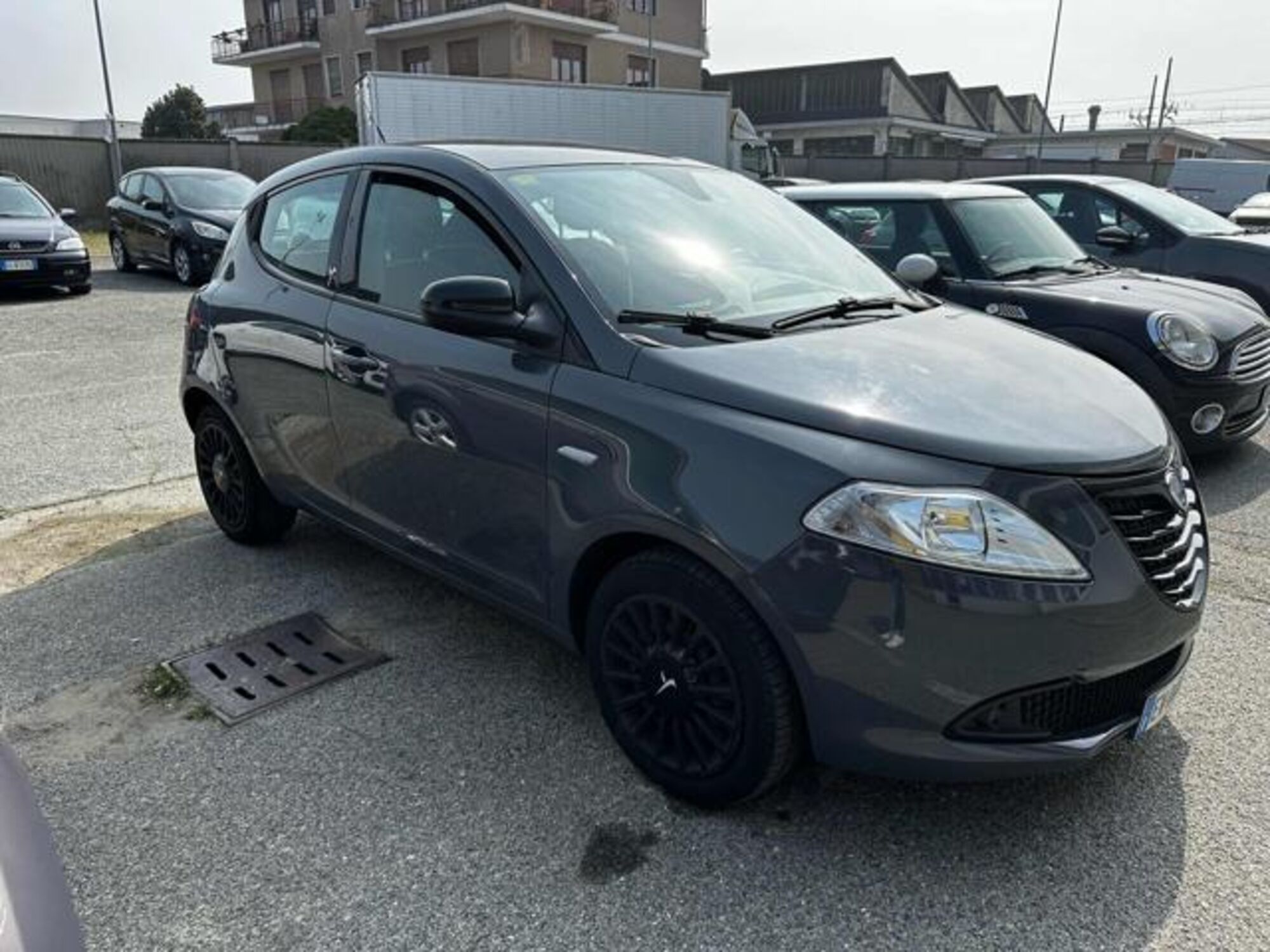 Lancia Ypsilon 1.2 69 CV 5 porte Elefantino  del 2014 usata a Moncalieri