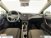 Volkswagen Polo 1.0 TGI 5p. Trendline BlueMotion Technology  del 2021 usata a Albano Laziale (10)