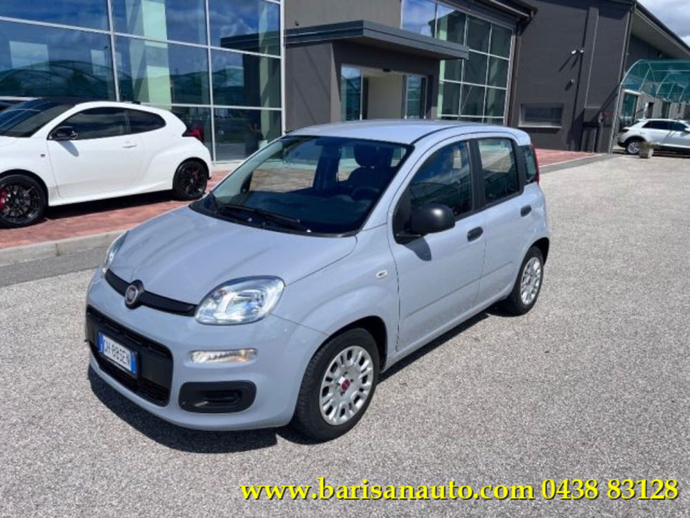 Fiat Panda usata a Treviso