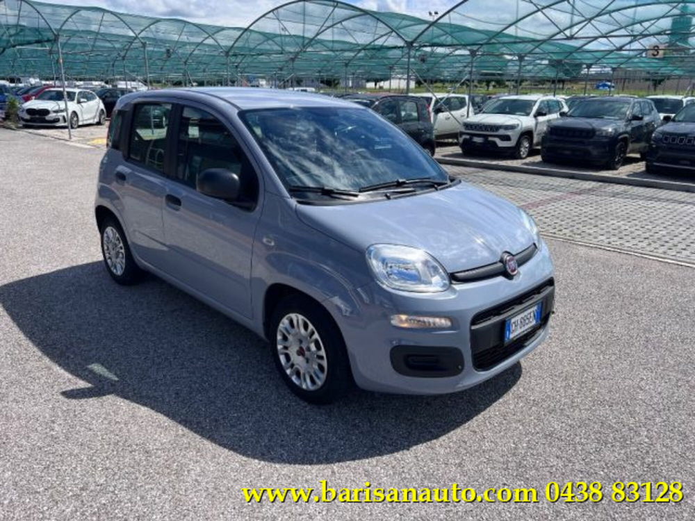 Fiat Panda usata a Treviso (2)