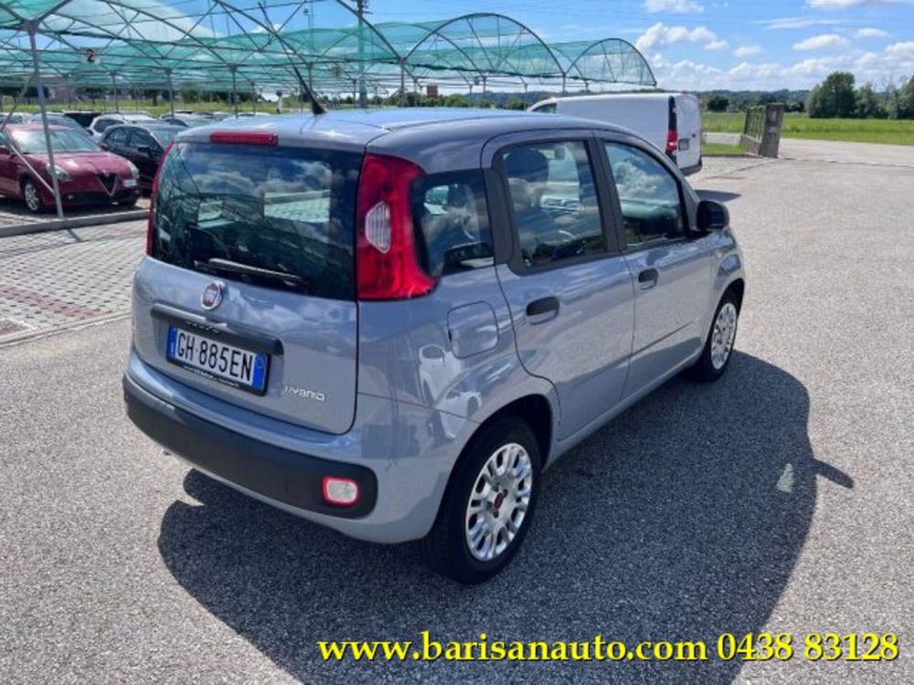 Fiat Panda usata a Treviso (3)