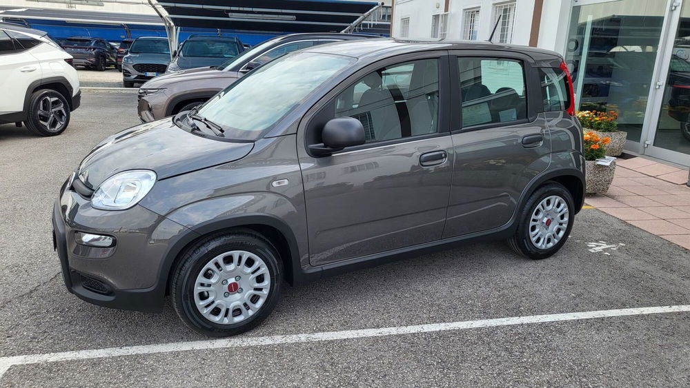 Fiat Panda Cross usata a Padova (3)