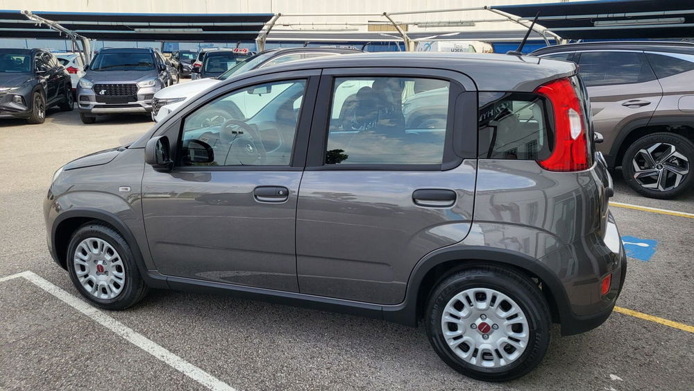 Fiat Panda Cross usata a Padova (2)