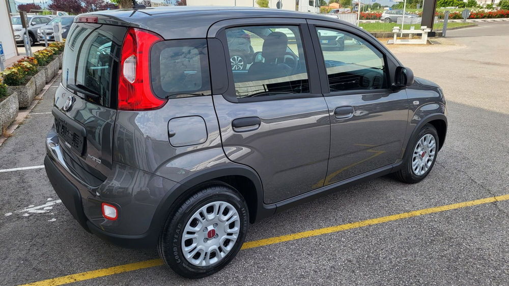 Fiat Panda Cross usata a Padova (5)