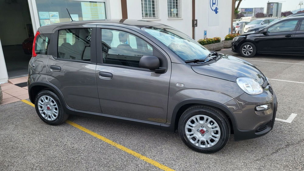 Fiat Panda Cross usata a Padova (6)