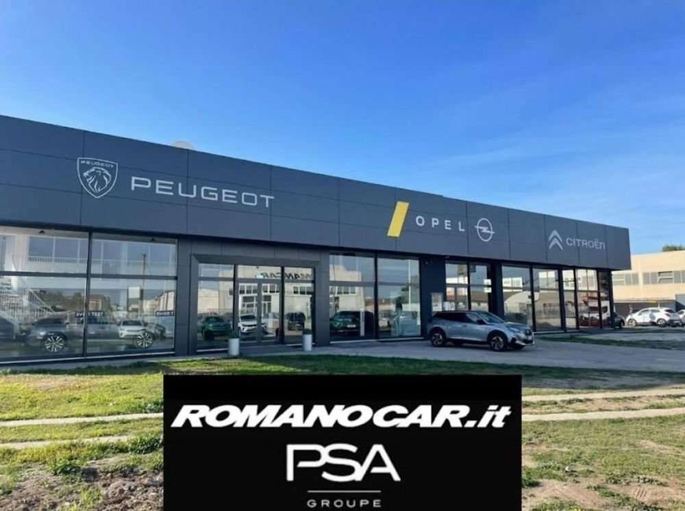 Peugeot Expert Furgone usata a Foggia (16)