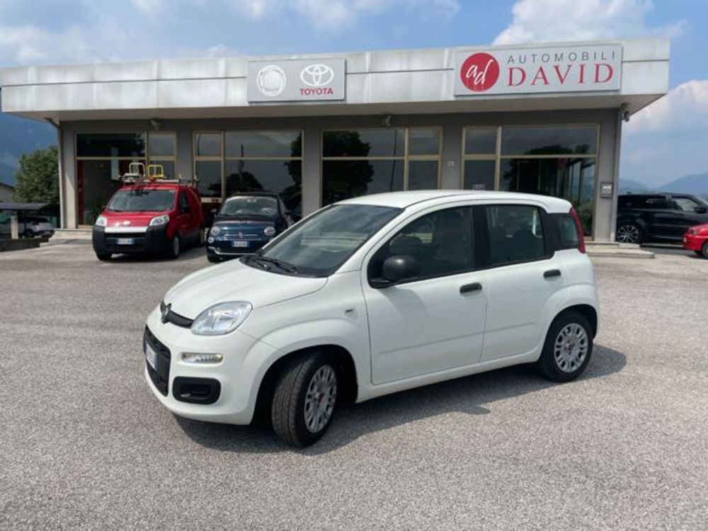 Fiat Panda usata a Pordenone (2)