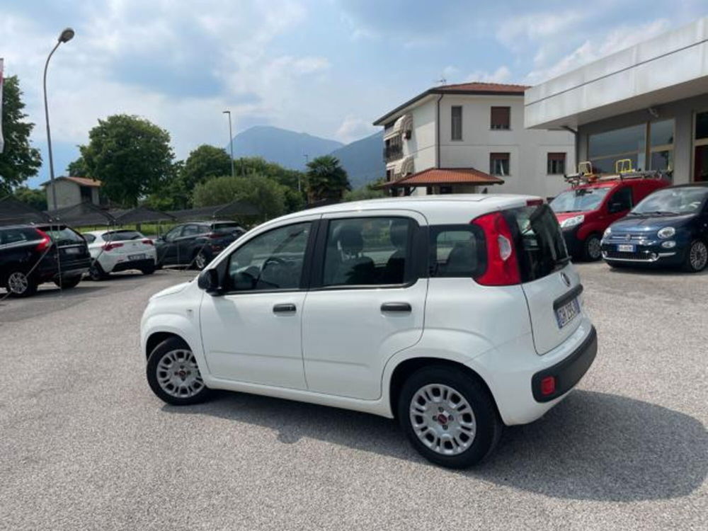 Fiat Panda usata a Pordenone (3)