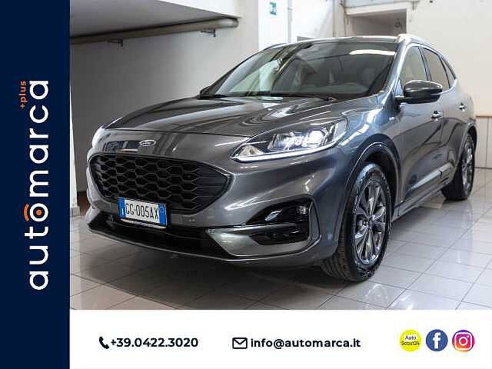 Ford Kuga usata a Treviso