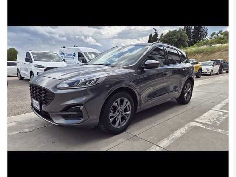 Ford Kuga usata a Perugia