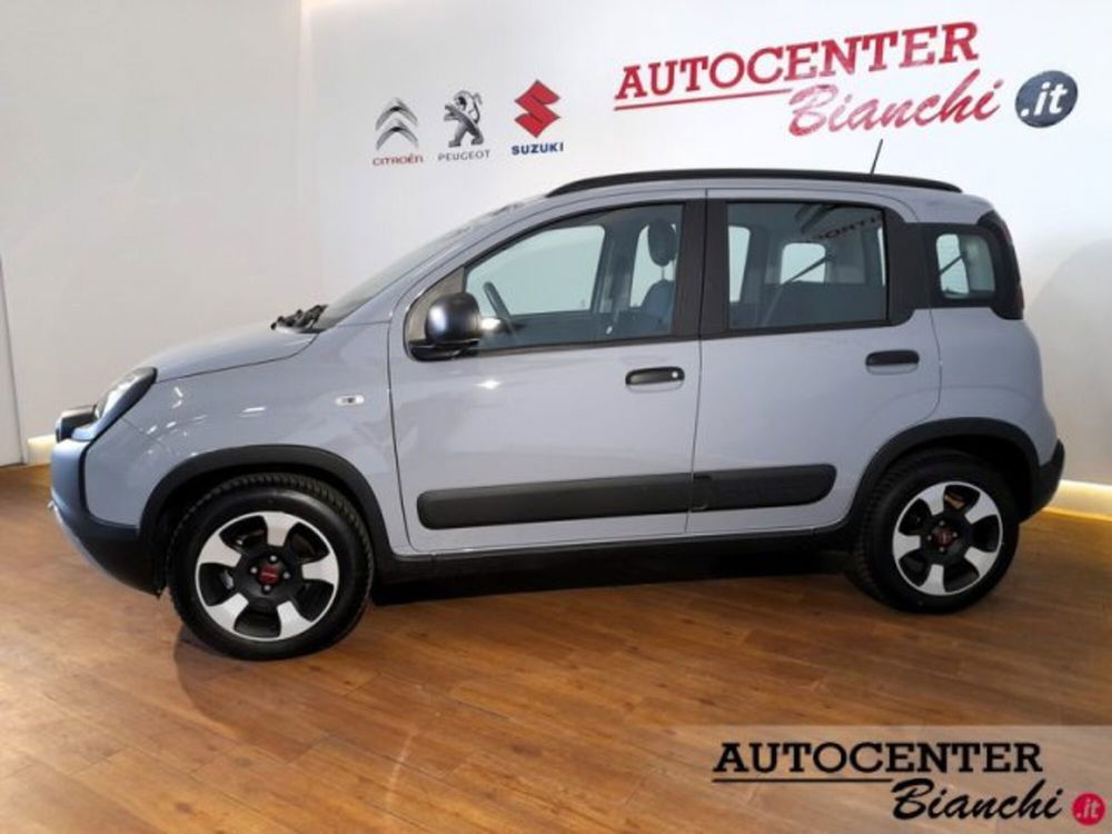 Fiat Panda Cross usata a Reggio Emilia (3)