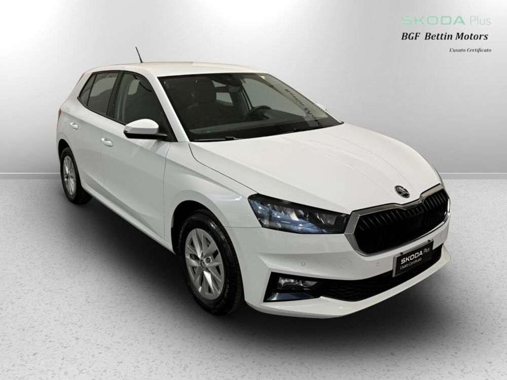 Skoda Fabia usata a Padova