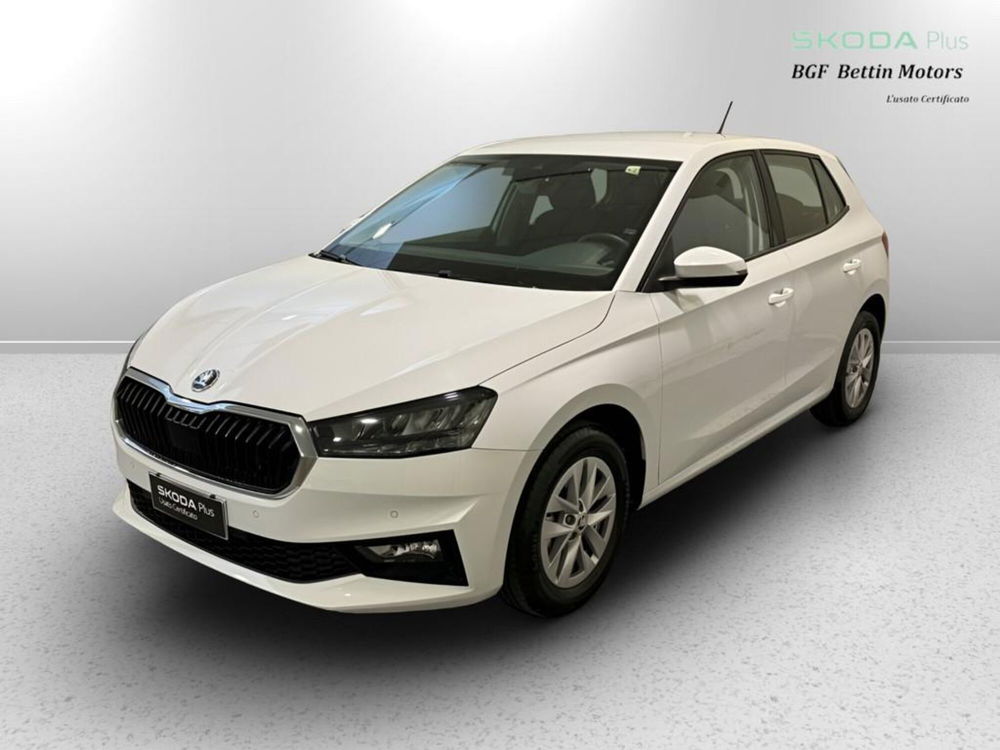 Skoda Fabia usata a Padova (3)