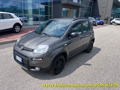 Fiat Panda 0.9 TwinAir Turbo S&amp;S 4x4 Wild del 2021 usata a Pieve di Soligo