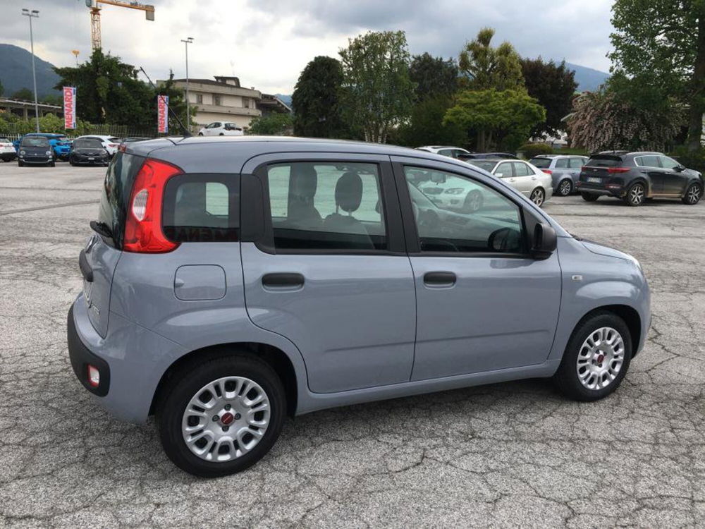 Fiat Panda usata a Cuneo (3)