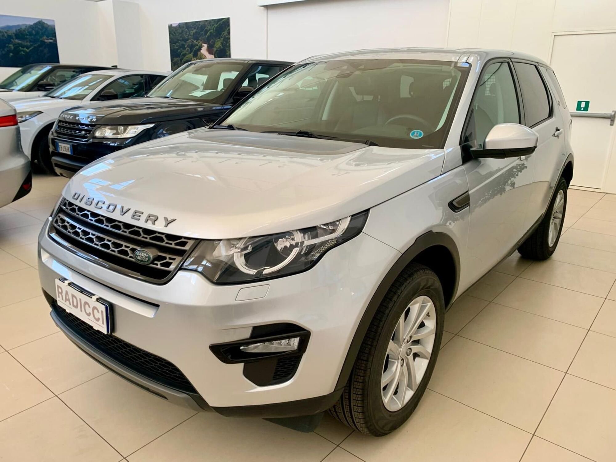 Land Rover Discovery Sport 2.0 TD4 150 CV SE  del 2018 usata a Bari